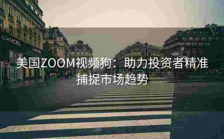 美国ZOOM视频狗：助力投资者精准捕捉市场趋势